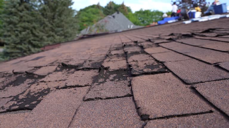 Waterproofing in Brockport, NY
